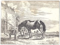 Лошадь у дома - Гравюра (XVII век, Нидерланды) артикул 1766c.