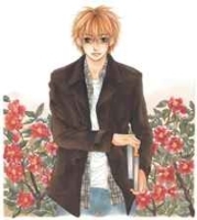 The Name of the Flower, Vol 4 артикул 1995c.